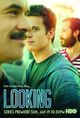Looking Looking