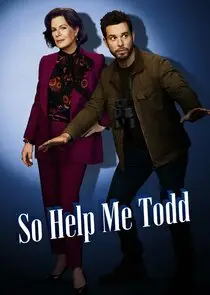 So Help Me Todd So Help Me Todd