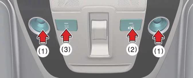 Kia EV6 front LED map light and overhead console