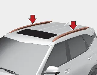 Kia Seltos roof rack Type A exterior accessory