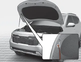 Kia Seltos hood support rod location