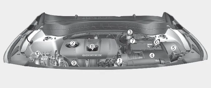 Kia Seltos gasoline 2.0 MPI engine compartment with coolant reservoir oil cap brake fluid air cleaner battery terminals and fuse box
